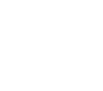 diamond brothers logo